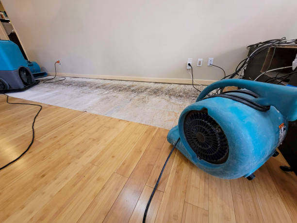 Professional Basement Flood Cleanup technician working in Berthoud, CO